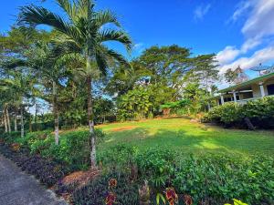 Samoa HACIENDA