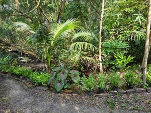 Big hug home-Baan Rim Klong