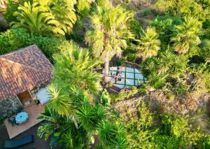 Finca Tenerife - Traumblick, tropischer Garten, viel Platz & Ruhe