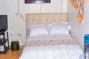Modern Studio Apartment in Embu