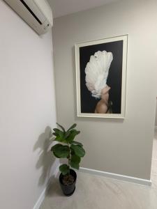Amaris Saturn Luxury Apartment 3-1 with private parking