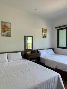 Eco House Cat Ba