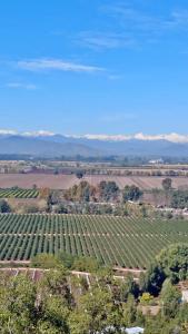Apalta Vista Wine Lodge