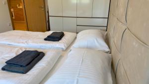 Victor spa Apartment