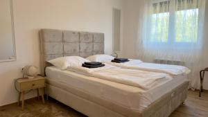 Victor spa Apartment