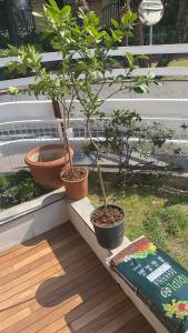 Sea view apartment with garden