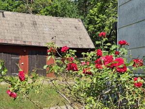 4 person holiday home in ASARUM