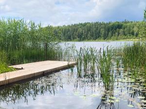 Lakefront Cottage in Torsebo
