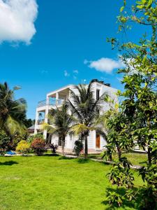 Palm Paradise Apartment
