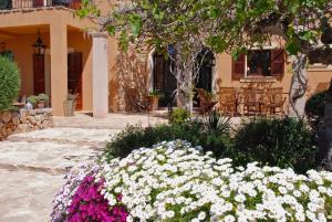 Finca Can Tumalal
