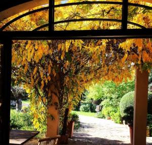 Finca Can Tumalal