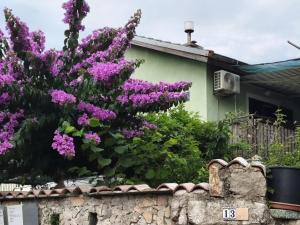Apartments by the sea Artatore, Losinj - 27981