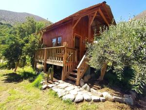 Cabin under the stars in Valle del Elqui