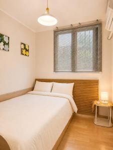 Oferta noclegów 17166622