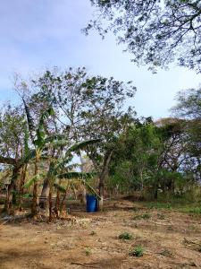Finca Cazzanica