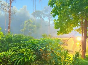 Cloud Hugs Couple stay Farm House vagamon