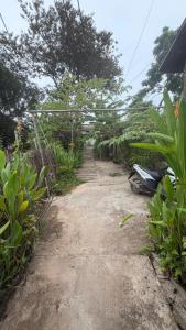 Amilie Guesthouse