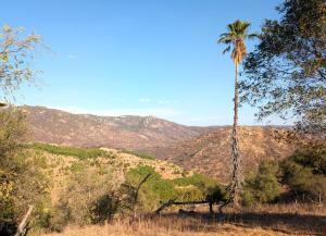 Cozy Escondido Hillside ADU