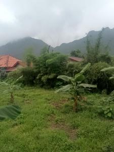 WangLee Guesthouse