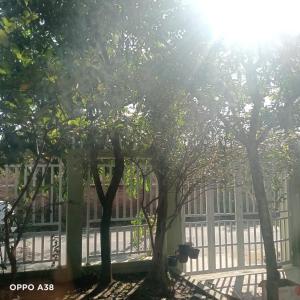 Hue Citadel gaden home 1