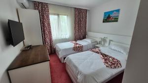 Pensiunea Casa Bosneanu