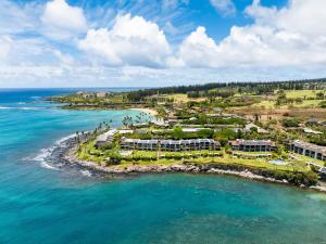Napili Point A8 OceanFront 1BD Condo w Superb Ocean Views AC Pool