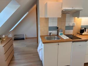 Apartments Airport Prague - Apartmány v domě se zahradou