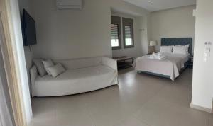 Luminous Luxury Apartments
