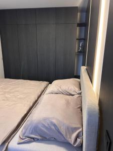 Modern Loft near X-Bionic