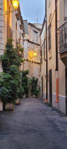 Palermitana