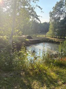 Sigła w sidłach