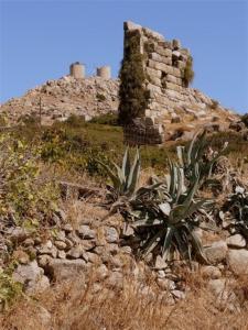 Aronis Plaka Naxos Naxos Greece