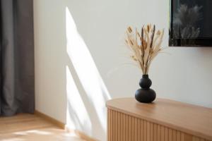 Freshly renovated apartment with free parking