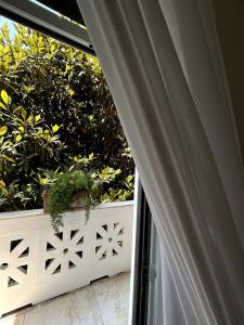 Suite Napoletana