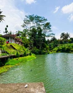 Live lombok homestay