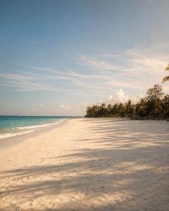Amani Beach Villa- Bwejuu