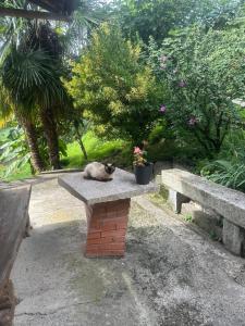 Chalet du soleil