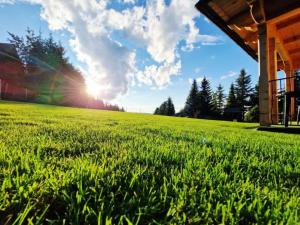Zakopane Krok Do Natury