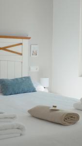 Apartamentos El pedracal Rural Planta Baja