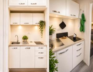 Aurelia Garden Stay - Hotel Ergife, Vatican, San Pietro