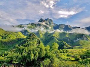 Hoàng Bách homestay - Đồng Văn, Motorbike, Tours
