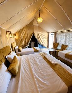 Magic Luxury Camp