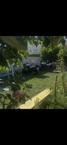 Apartman Struga in Quit place free parking,2 terases