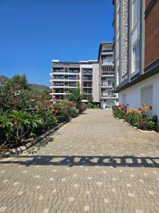 Daire 3