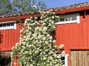 4 person holiday home in BJÖRKÖ-By Traum