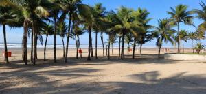 Apartamento 100m da Praia, Churrasqueira