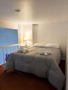 Gran duplex para 4 Alto Palermo