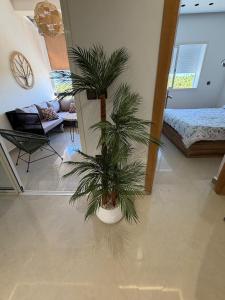 Assilah Marina Golf