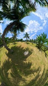 BAM Sibonga Retreat and Camping Site