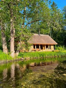 Oanduaia tiigimaja